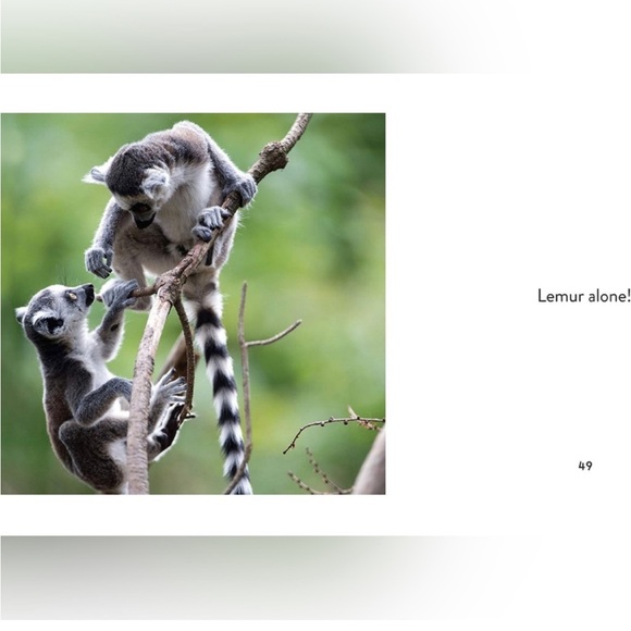 Animal Puns: Quack Me Up Book - Picture 4 of 7